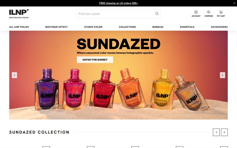 Screenshot of the ILNP website